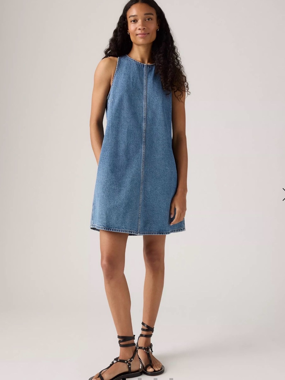 NWOT Levi's Sleeveless ‘90s Denim Shift Dress in Swipe Right (Medium Blue)